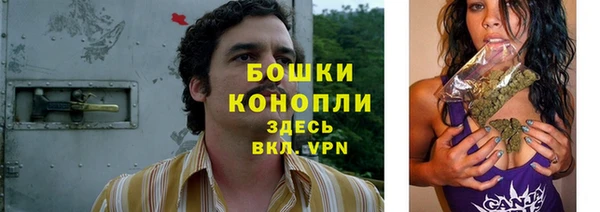 гидра Няндома