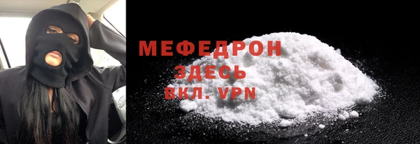 гидра Няндома