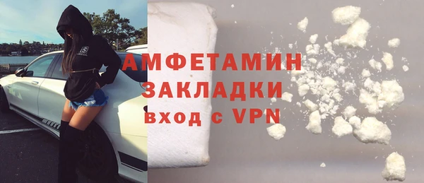 гидра Няндома