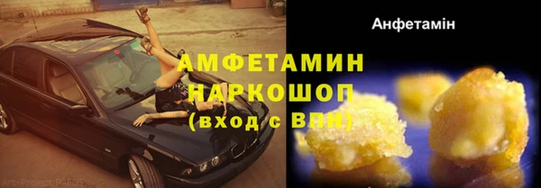 гидра Няндома