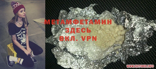 гидра Няндома