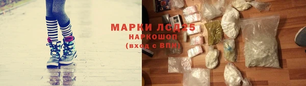 гидра Няндома