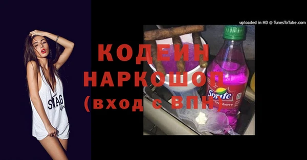 гидра Няндома