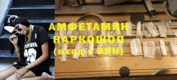 гидра Няндома