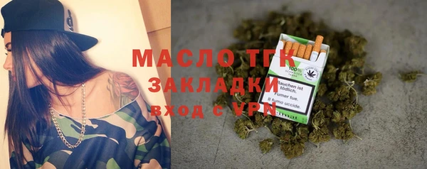 гидра Няндома