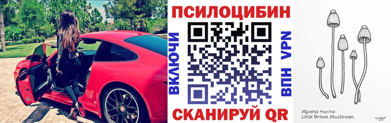 как найти Тетюши Псилоцибиновые грибы Psilocybe