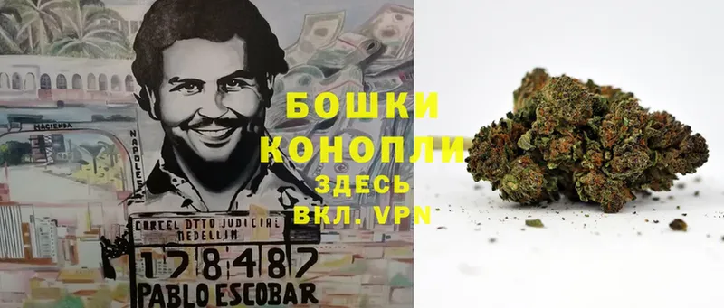 Канабис индика  Тетюши 